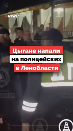 Цыгане напали на инспекторов ДПС и поплатились: в табор пришли с обысками, а деревню могут снести