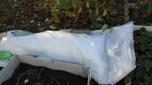 25 10 18г.  О новых материалах для укрытия гортензии крупнолистной .