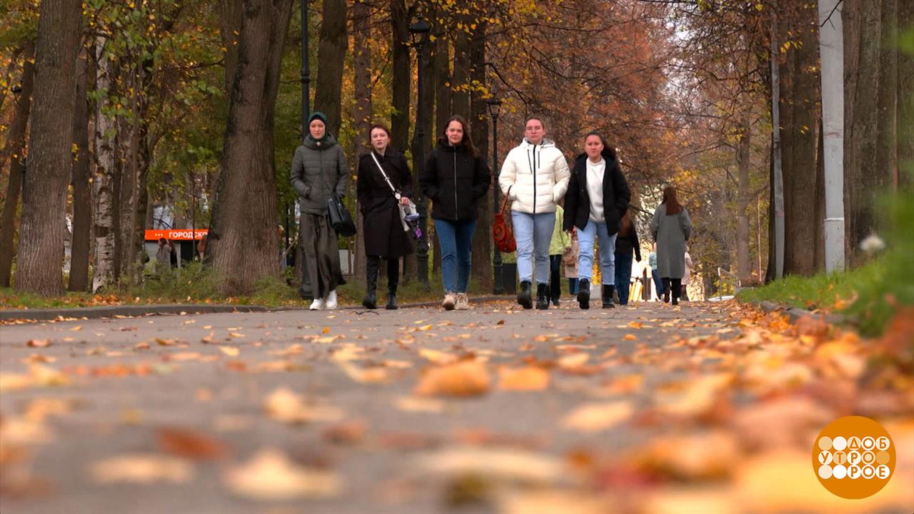 Осень в темпе адажио... Доброе утро. Фрагмент выпуска от 18.10.2024