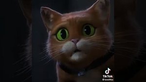 Кот в сапогах