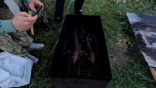 Стерлядь горячего копчения.