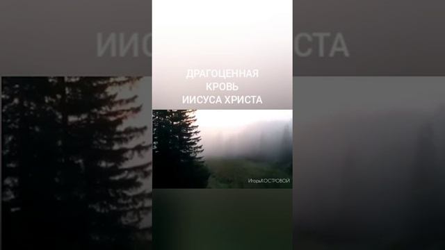 Только в этом спасение!