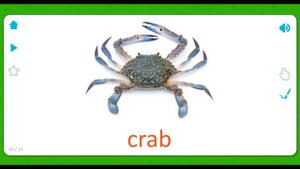 Ocean life for Kids - Sea Animals for Kids - Sea plants for Kids - Flashcards for Kids, App for kid