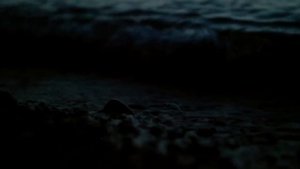 Levent Ozkazanc - I Can't Believe (Official Video)