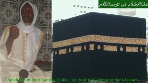 Droit des animaux dans l'islam Cheikh Mouhidine Samba Diallo.