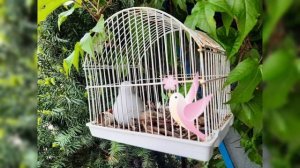 А у нас во дворе. Весна 2024 год