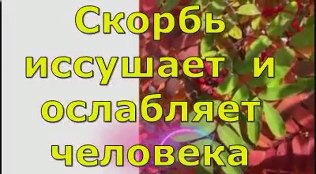 Новый проект2081