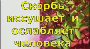 Новый проект2081