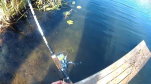 ОТВОДНОЙ ПОВОДОК ЛУЧШАЯ ОСНАСТКА ДЛЯ ПАССИВНОГО ХИЩНИКА/Ловля хищника на спиннинг