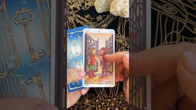 Какая возможность порадует тебя? Совет таро 78 дверей. #картаднятаро #tarot #картадня #да#horoscope