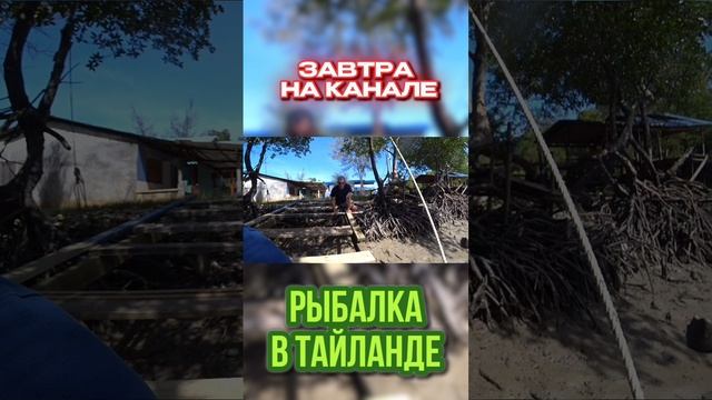 ЗАВТРА ПОЛНЫЙ ВЫПУСК НА КАНАЛЕ!