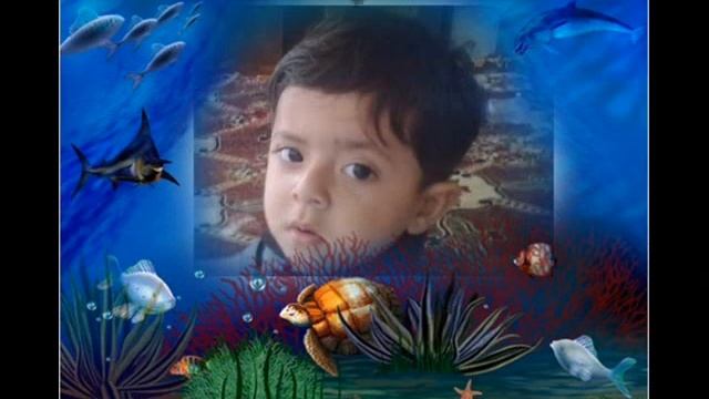 Akbar Sultan смотреть онлайн