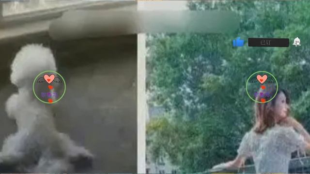 业内人看不下去了！直言热巴是单身，三月份会有很多活动安排 #热巴 #迪丽热巴 #Dílìrèbā #1黎春郑 смотреть онлайн