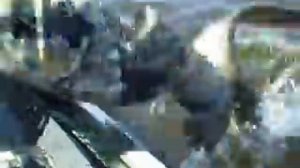 Сом на квок, Волгоградское водохранилище. Вываживание