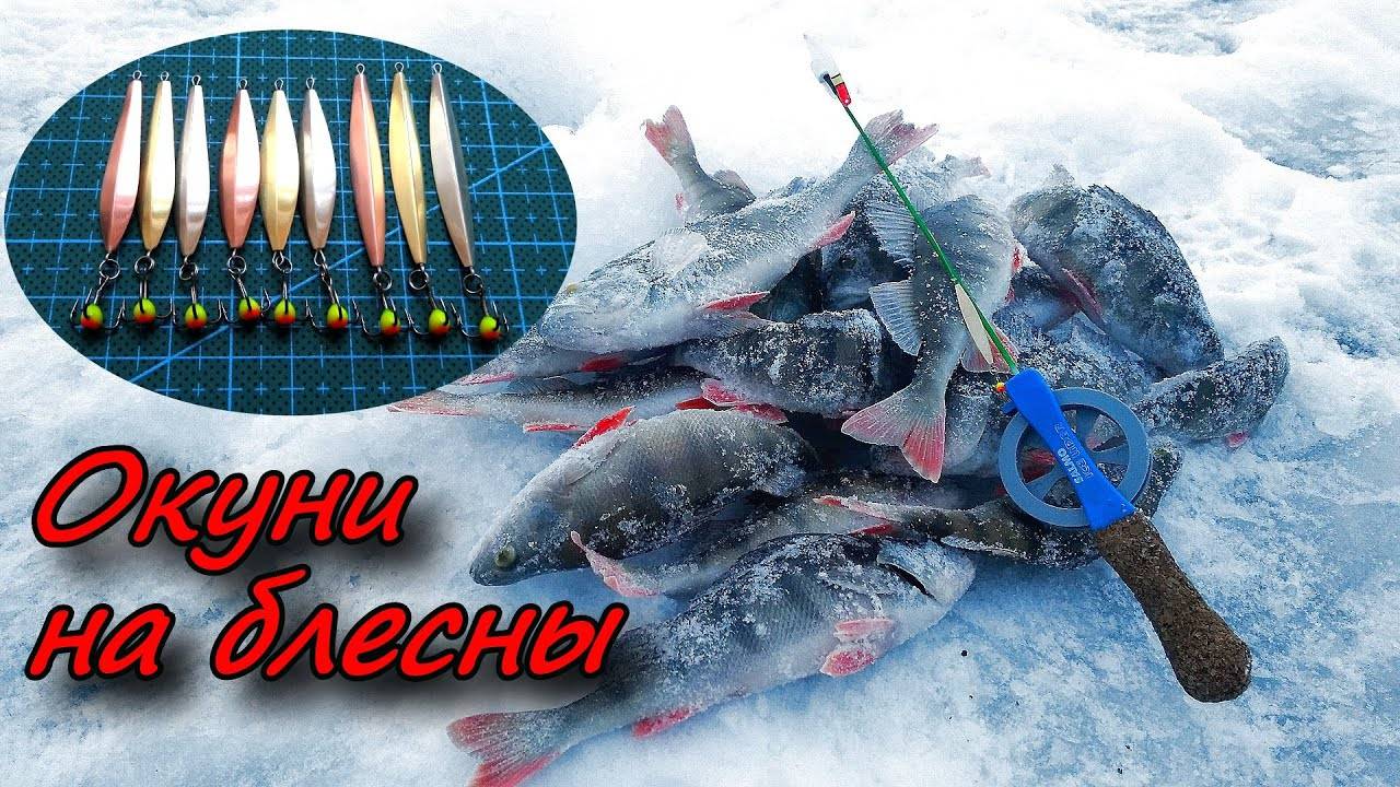 С БЛЕСНАМИ за окунем !!!