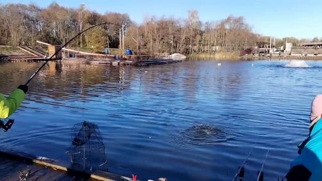 Поимки форели на запуске. смотреть онлайн