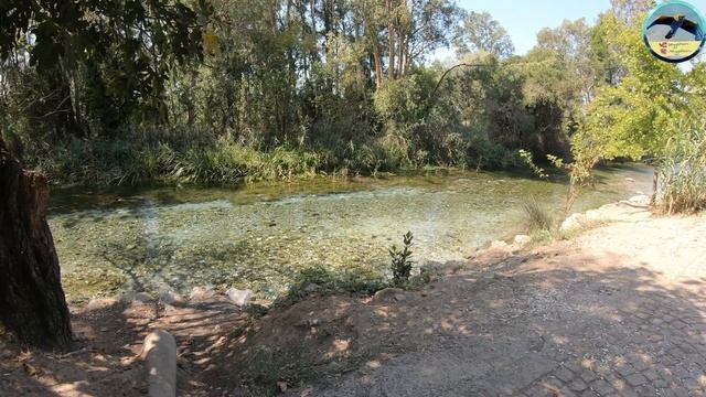Manzara videoları 19 - Gerçek ORTAM sesi VAR, Konuşma ve müzik YOK смотреть онлайн