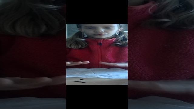 Семечки яблочные( 1 часть)
