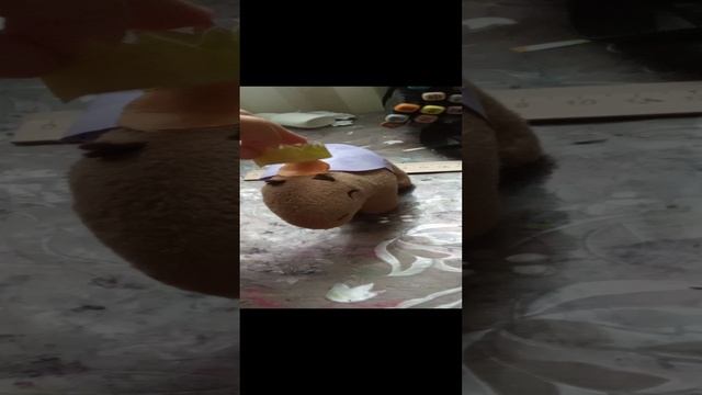 я сделала своими руками аксессуары для капибары!