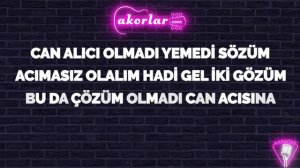Melis Fis - Kara Kedi KARAOKE