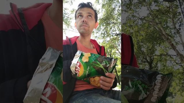 Чипсы Lays Зеленый Лук #shorts