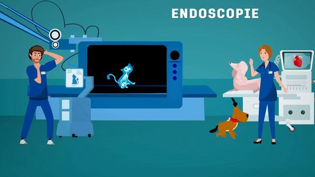 Benvenuti al Centro Medico Veterinario Tofanelli смотреть онлайн