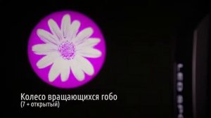 Dialighting Lite spot 200MH