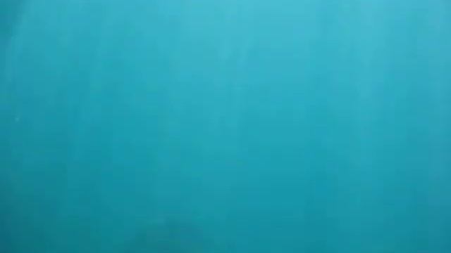 Maui Manta Ray - Ulua Beach - Dec 30 2017 смотреть онлайн