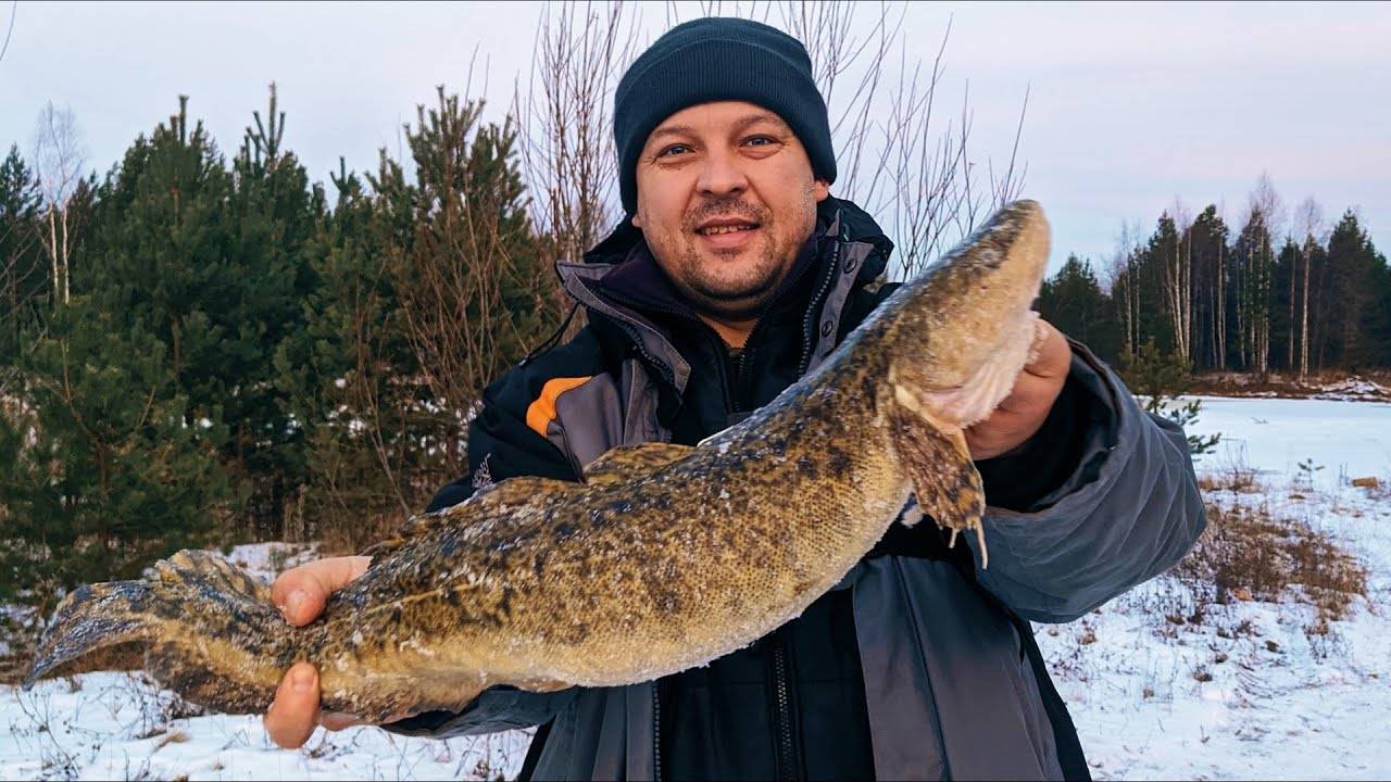 Поехали за окунем, а поймали НАЛИМА !!!