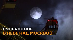 Суперлуние в ночном небе над Москвой сняли на видео