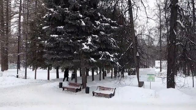 Москва Усадьба Грачёвка