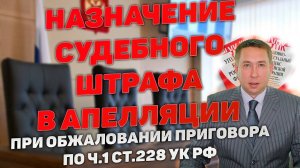 Судебный штраф по ч.1 ст.228 УК РФ в апелляции при обжаловании приговора суда.