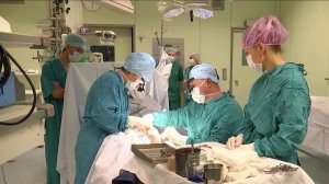 В Сочи открылся Кубанский конгресс хирургов