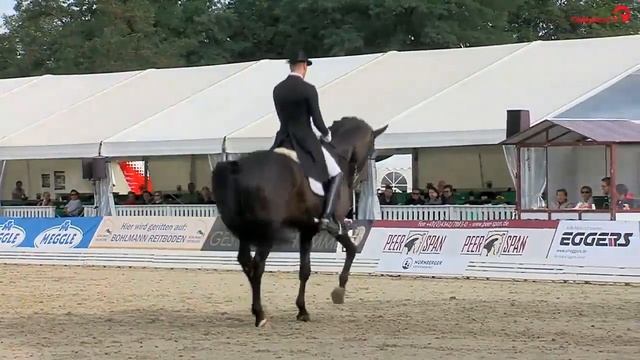 Marcus Hermes - Abegglen - Verden 2019 смотреть онлайн