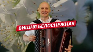 Вишня белоснежная / Баянист Евгений Попов / Под окном широким