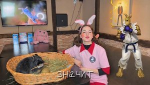 Почему кролики прыгают? Как понять настроение кролика и что такое бинки?