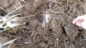 Закрытие сезона с Deus 2.