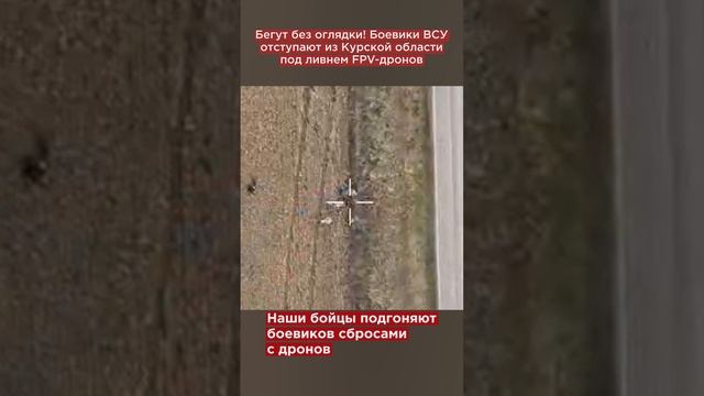 Бегут без оглядки! Боевики ВСУ отступают из Курской области под ливнем FPV-дронов