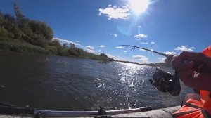 Выманил ЕЁ из Коряги и Потом...! Рыбалка Осенью на Спиннинг на Оке 2024!