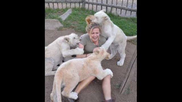 Pechowy dzień - Katarzyna Sobczyk смотреть онлайн