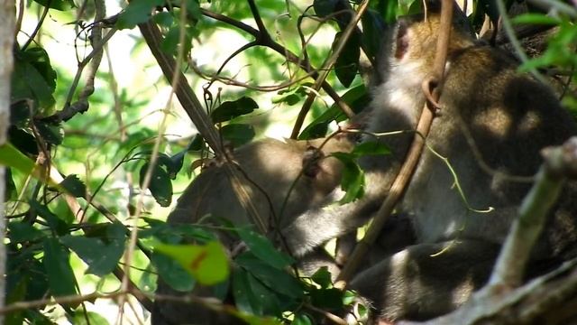 Sad & Cries in Heart!.Jane Looks Not Really Love JANNA, Why Jane Just allowed Janet Nurse until ful смотреть онлайн