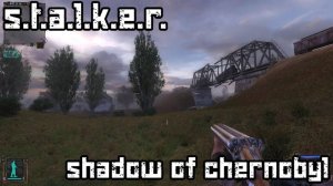 #10 STALKER Тень Чернобыля.Steam.