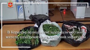 В Королёве полицейские задержали местного жителя, подозреваемого в хранении марихуаны