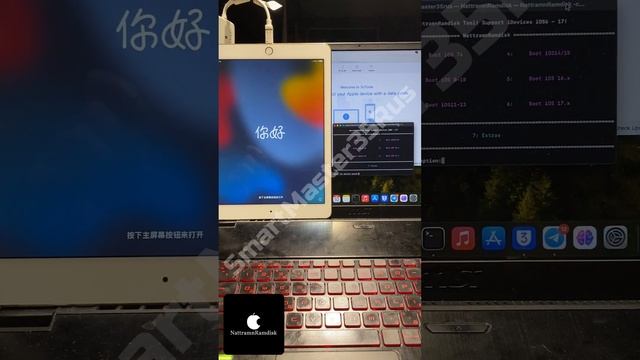 Разблокировка и Обход iCloud блокировки на iPad Air (2nd Generation) 128GB Gold