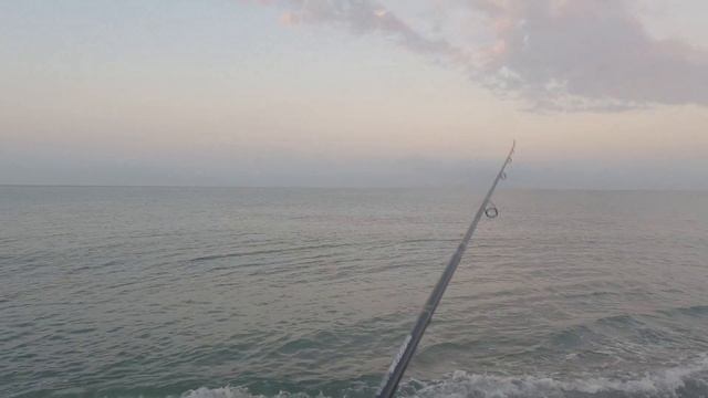 Горбыль с берега !! Ночная Рыбалка на горбыля! Чёрное море в Сочи