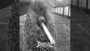 ROSSOL - TURBO РАСКУМАРИЩЕЕЕЕЕ (Single).mp4