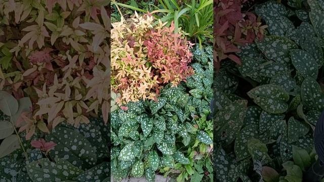 Важно вовремя обрезать