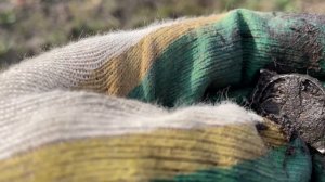 5 копеек Екатерины 2,  царский серебряный крестик и другие находки, поиск монет и старины с tx-850