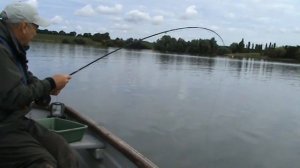 Grafham Water Zander