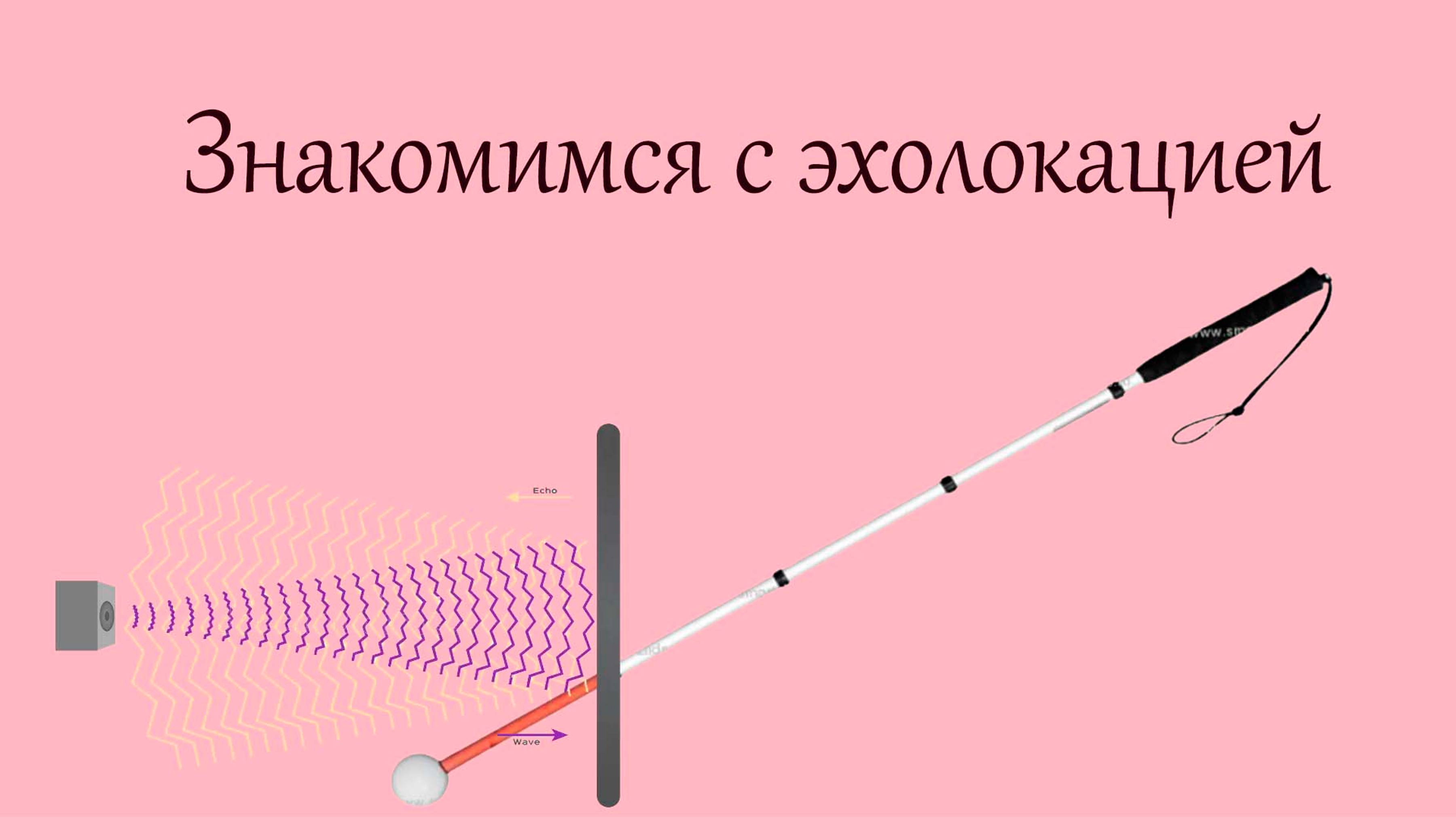 Значение белой трости в жизни незрячих людей – знакомимся с эхолокацией